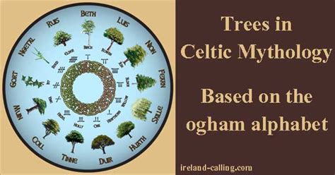 Irish tree alphabet divination